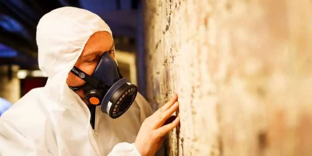 fire risk assessment and asbestos survey london