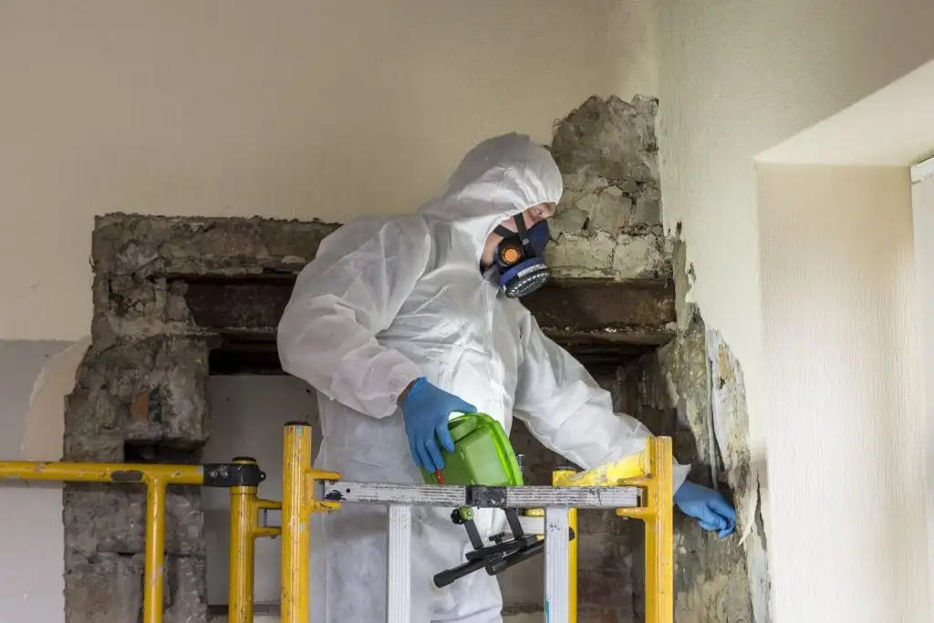 asbestos reinspection london