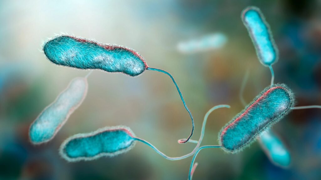 Legionella Risk Assessments London