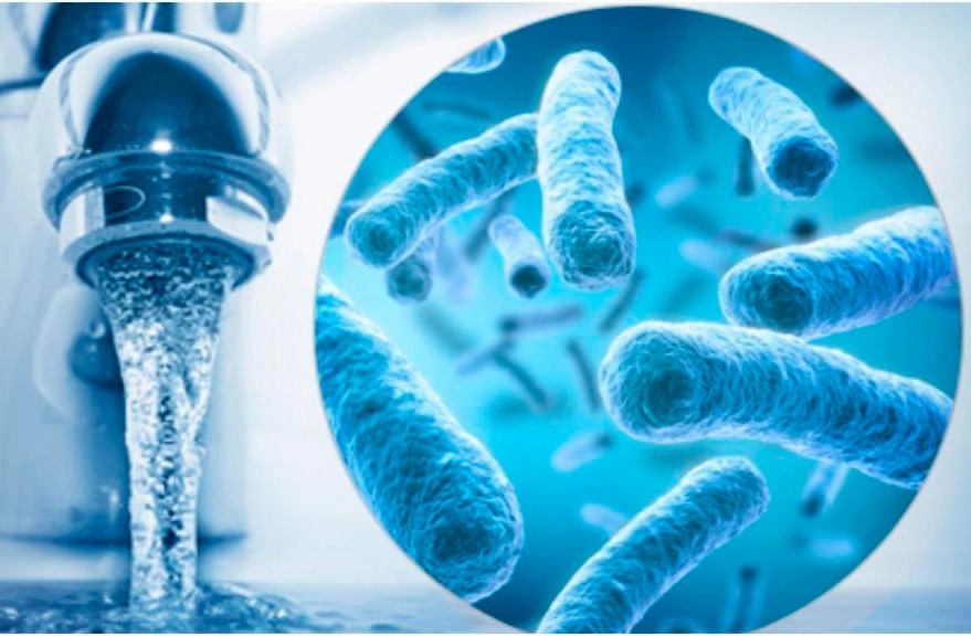 Legionella inspection London