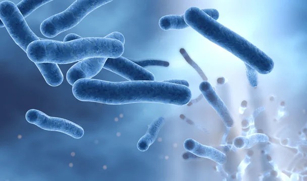 Legionella risk assessment services London